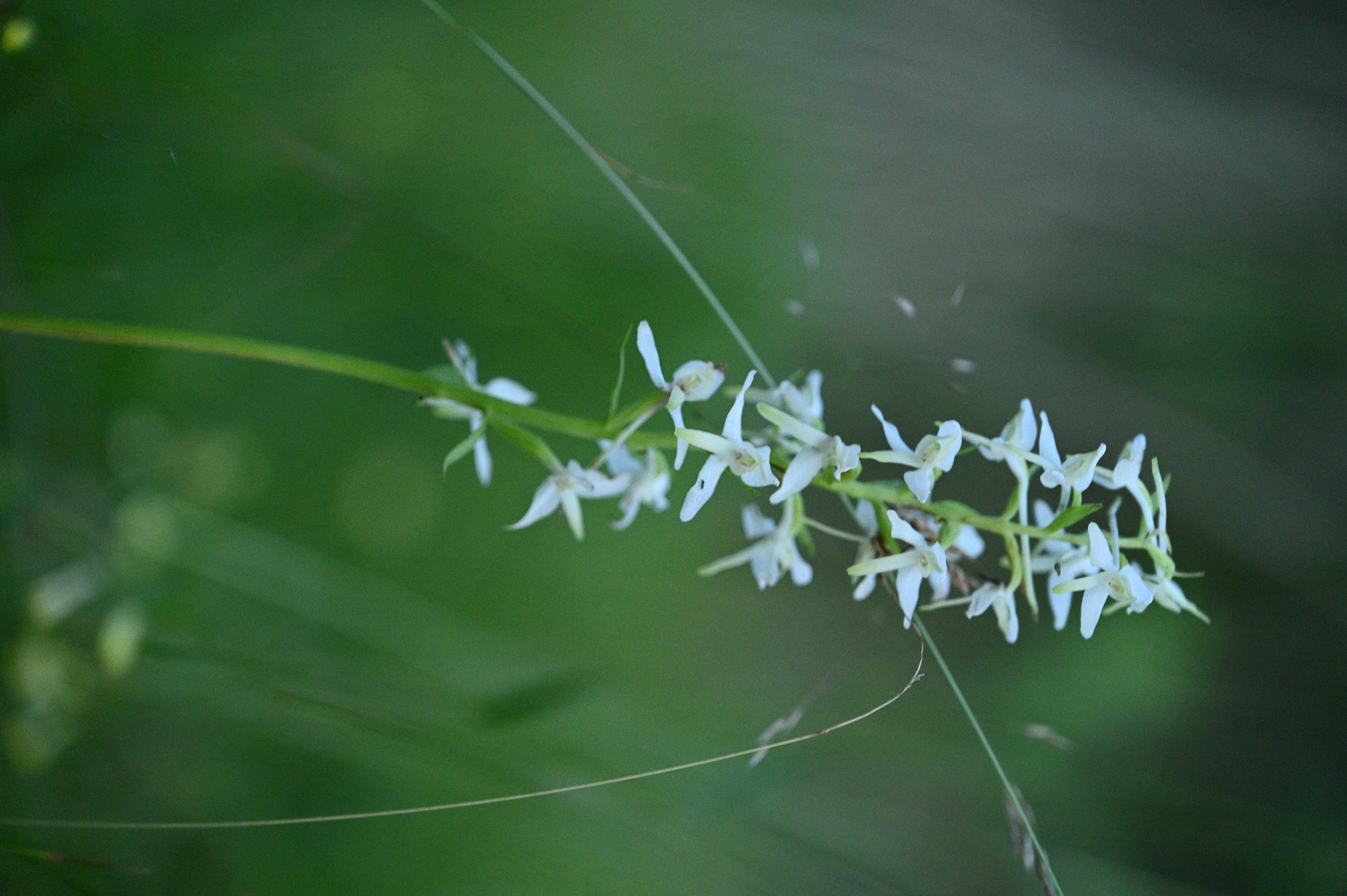 2025/07/09-14 - trip/DSC_0647.JPG